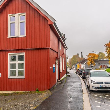 Toppleilighet I Sentrum Av Lillehammer Zewnętrze zdjęcie